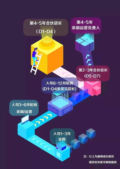 加速转型的苏宁 以网络工程为引擎，开启零售新征程