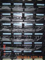 专业布线工程全方位解析 从施工到产品，上海正金电子科技引领网络工程新标准